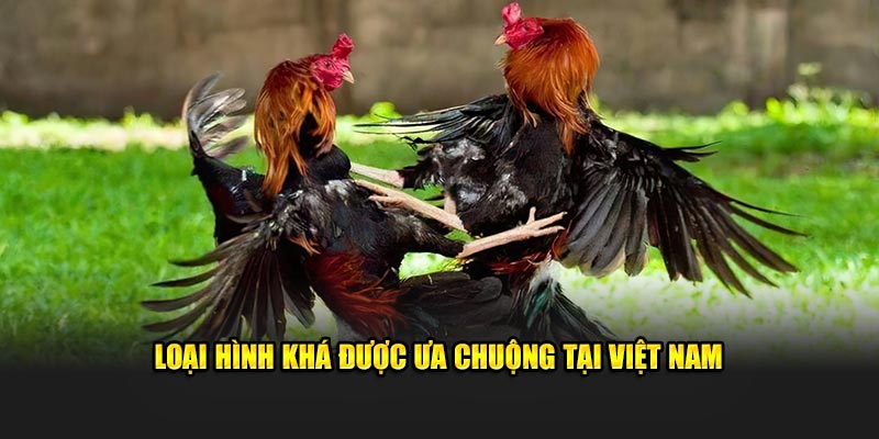 Loại hình khá được ưa chuộng tại Việt Nam